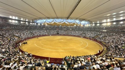 Plaza de toros de La Misericordia de Zaragoza.
