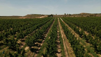 Se trata de un proyecto que esperan genere más resultados en los próximos años.