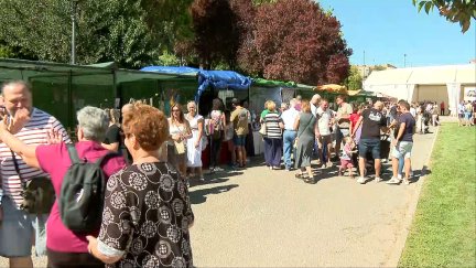 Feria de la Patata de Cella