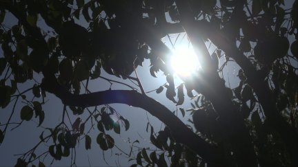 La Aemet ha anunciado cielo poco nuboso o despejado y temperaturas en ligero ascenso.