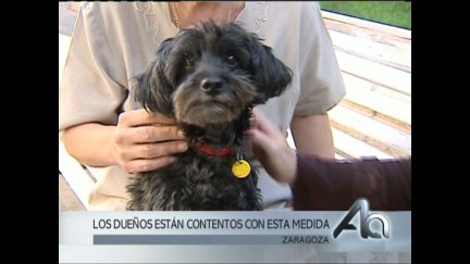 En septiembre de 2006 se acababa el plazo dado por el Gobierno de Aragón para que los propietarios identificaran a sus perros con microchip.