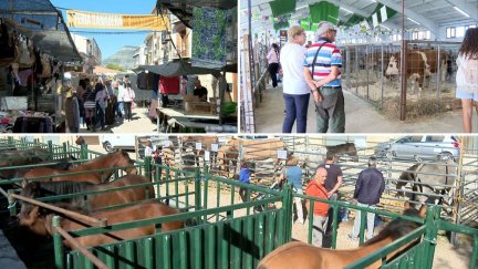 Feria de Cantavieja