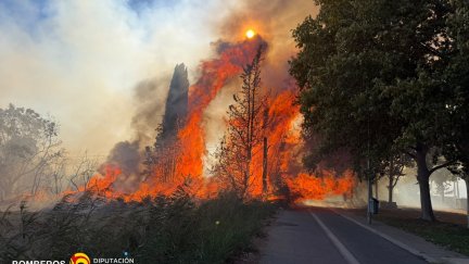 Las llamas obligan a intervenir a los bomberos en una zona próxima a fincas de Fraga.