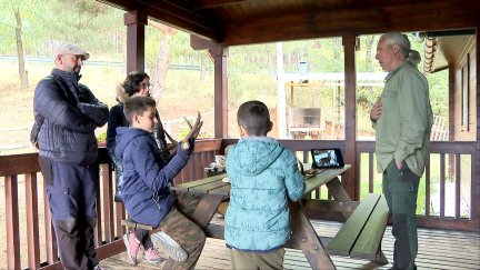 Turistas de Alicante asisten en familia al espectáculo de la berrea en Bronchales, Teruel.