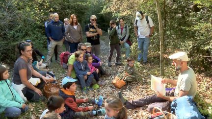 Estas jornadas micológicas tienen lugar este fin de semana en la localidad de Panticosa, en Huesca.