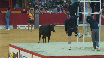 Lleno en el cuarto día de vaquillas en la plaza de la Misericordia de Zaragoza.