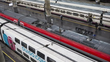 Trenes de Ouigo, Iryo y Renfe en la estación Madrid-Puerta de Atocha-Almudena Grandes