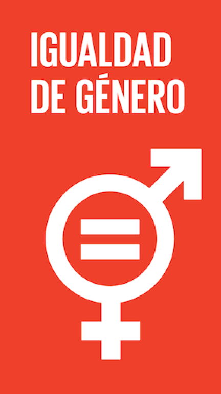 Imagen del objetivo de desarrollo sostenible número cinco, igualdad de género