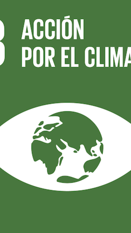 Imagen del objetivo de desarrollo sostenible número trece, acción por el clima