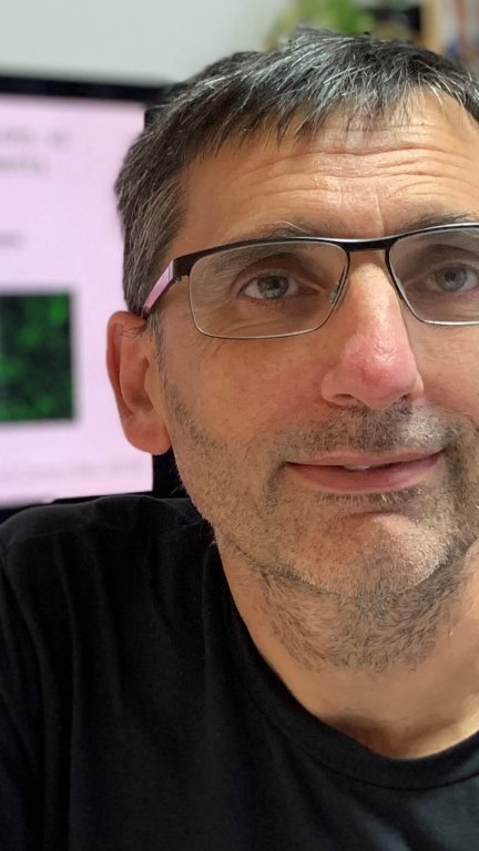 El investigador de la Universidad de Zaragoza, José Manuel García Aznar (UNIZAR).
