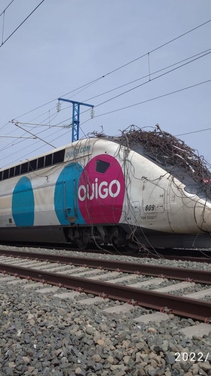 Los pasajeros de uno de los trenes que ha tenido que parar por la caída de una catenaria. / Foto: cedida a EP.