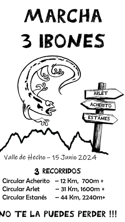 Este es el cartel oficial de la prueba.