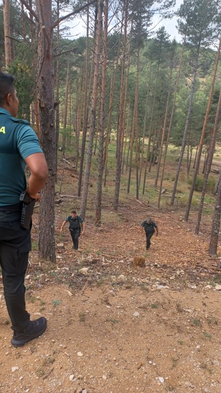 La Guardia Civil busca a un desaparecido en Moscardón. / Google Maps