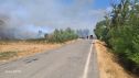 El incendio entre Alcolea de Cinca y Santa Lecina ya está estabilizado.