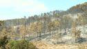 El incendio de Peñarroya de Tastavins se ha dado por estabilizado este martes.