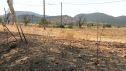 Imagen del terreno afectado este martes por la tarde