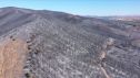 Los incendios más graves que han afectado a Aragón en los últimos años.