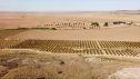 Zona de El Regallo, donde se prevé ubicar la nueva plataforma logística de Alcañiz.