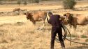 Ganaderos y agricultores aragoneses afrontan un verano seco y con restricciones de agua.