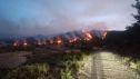 El incendio se ha reavivado en la cola, cerca de la orilla del embalse de La Peña.
