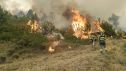 Se trata de un incendio de carácter forestal con una masa muy extensa y continua de pinar.