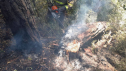 Los efectivos continúan realizando labores de vigilancia en el incendio de Riglos, que podría quedar controlado este viernes.
