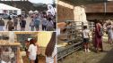 La Expofería de Sobrarbe se celebra este fin de semana en Aínsa (Huesca)