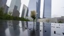 Una flor puesta en el Monumento y Museo Nacional del 11 de Septiembre en Nueva York (Estados Unidos).