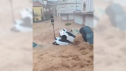 Una mujer de 102 años ha muerto en una inundación provocada por la s fuertes lluvias en Madrigueras (Albacete).