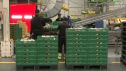 Hasta septiembre, en Aragón los salarios han subido, de media, un 2,9 %.