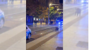 Un jabalí sorprendió este sábado por la noche a los viandantes por el centro de Zaragoza.