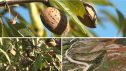 UAGA pide medidas para proteger a los agricultores ante la pérdida de tierras productivas.