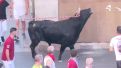 Toros ensogados en Teruel