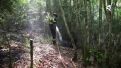 Los integrantes de los efectivos son grupos heterogéneos desde los 18 a los 64 años
