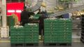 Hasta septiembre, en Aragón los salarios han subido, de media, un 2,9 %.