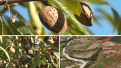 UAGA pide medidas para proteger a los agricultores ante la pérdida de tierras productivas.