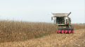 La comarca de Los Monegros es la mayor productora de maíz en Aragón con casi 28.000 hectáreas.