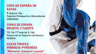 Cartel del torneo de judo.