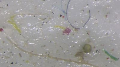 Se detectan microplásticos en el hielo del Ártico