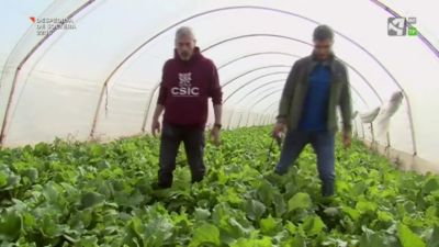 Uso de plásticos biodegradables en la agricultura