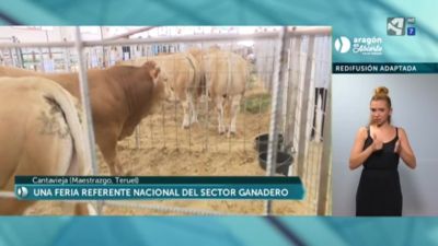 centésima novena edición de la feria ganadera de Cantavieja