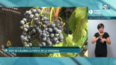 Fiesta de la Vendimia en Ainzón