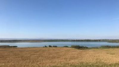 Laguna de Sariñena: los efectos de las olas de calor en el entorno