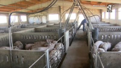 Hacia un uso sostenible de los fertilizantes orgánicos