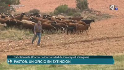 El último pastor de Cabolafuente
