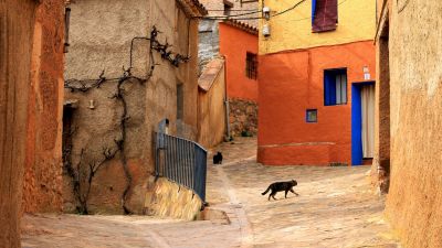 Día Universal del Orgullo Rural
