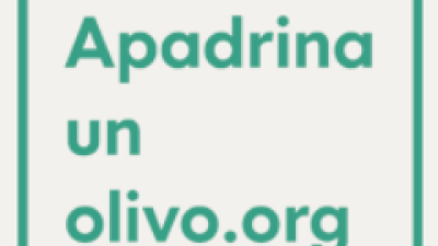 Apadrina un olivo