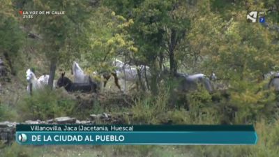 Campo o ciudad (primera parte)
