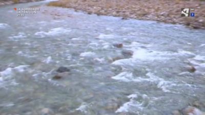 Los sonidos de la naturaleza (I): Ordesa