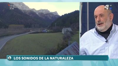 Los sonidos de la naturaleza (II): Cañones y abetales